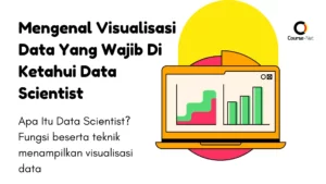 Mengenal apa itu visualisasi data
