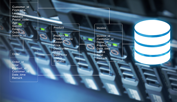 Contoh Perangkat Lunak Database