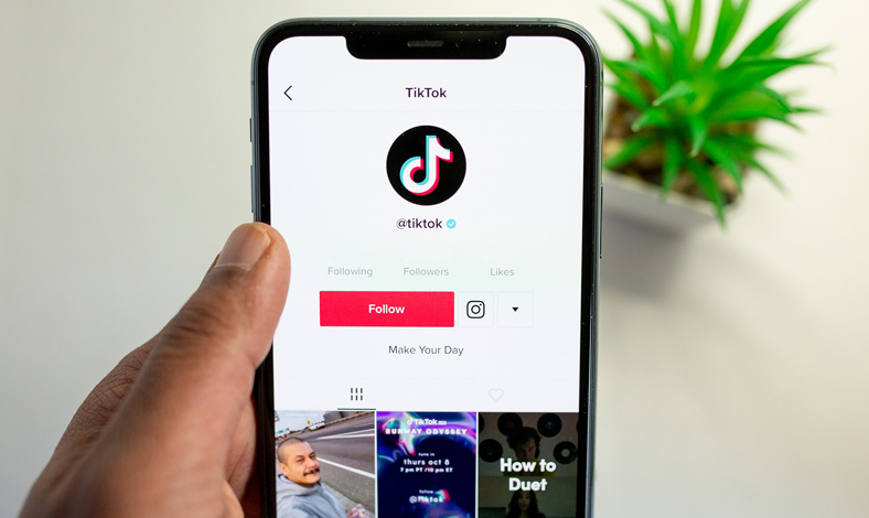 Download Video TikTok Tanpa Watermark Dengan SnapTik