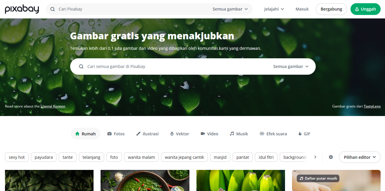 5 Situs Web Gambar Gratis untuk Bisnis Makin Untung | Course-Net pixabay adalah