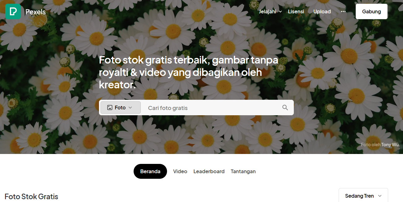 5 Situs Web Gambar Gratis untuk Bisnis Makin Untung | Course-Net pexels adalah