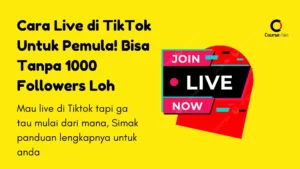 Cara Live di TikTok Untuk Pemula Tanpa 1000 Followers