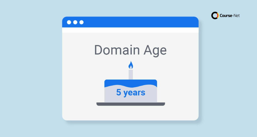 apa itu domain age