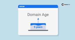 apa itu domain age