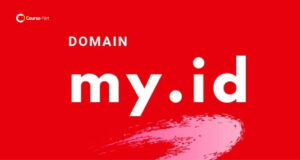 apa itu domain my id