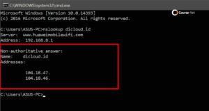 cara cek ip domain