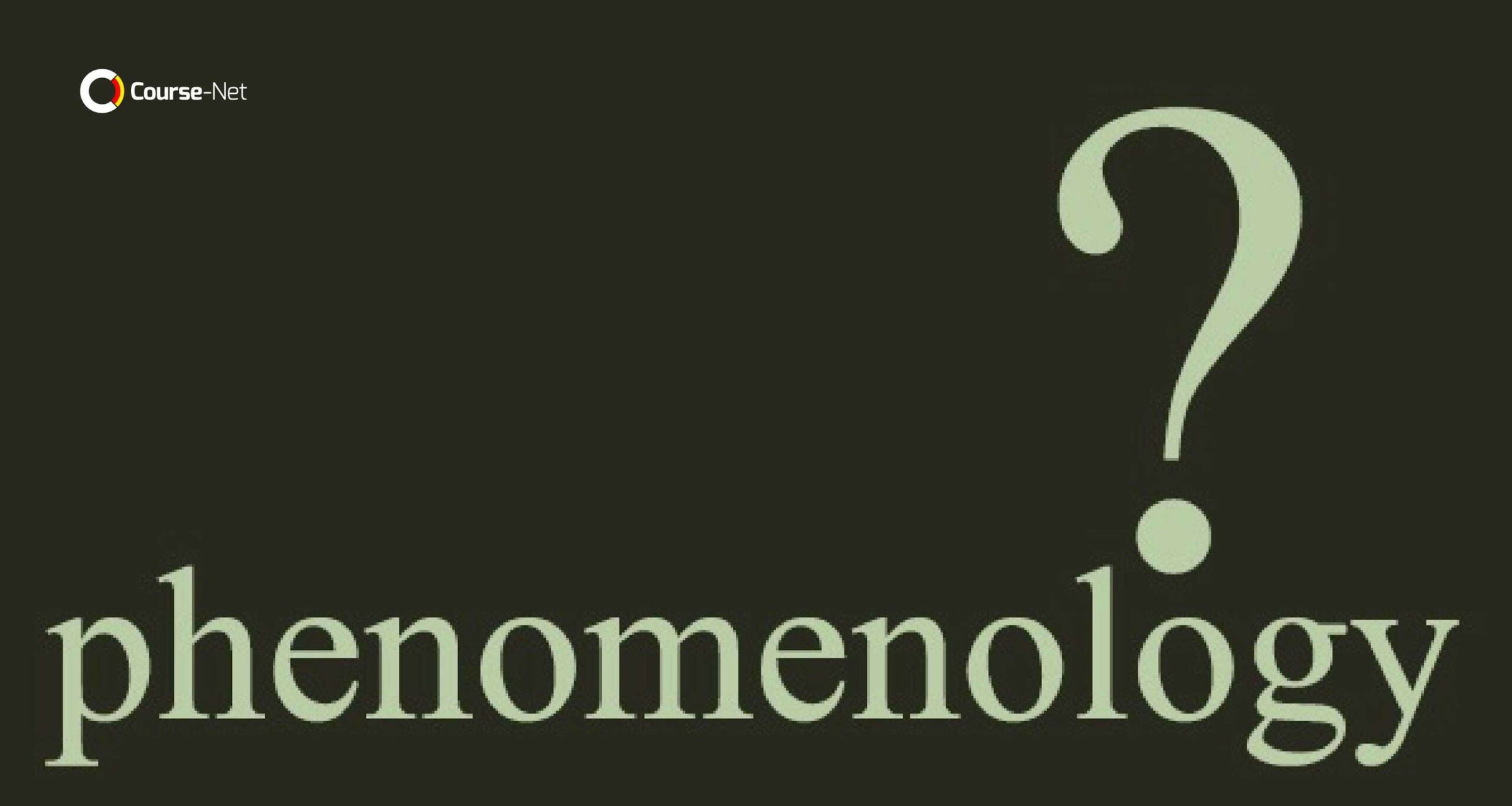 pendekatan fenomenologi penelitian kualitatif