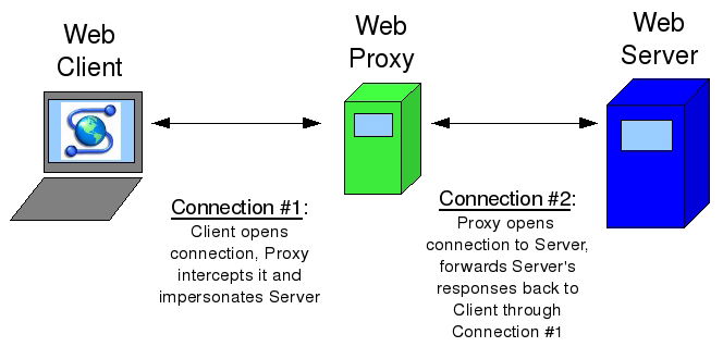 Apa Itu Web Proxy